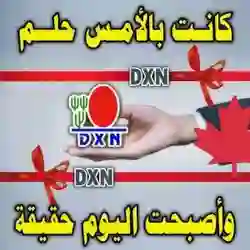 نشرات وظيفية عالمية
